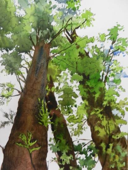 Painting by Chitra Vaidya - Looking up through the trees, Panchgani