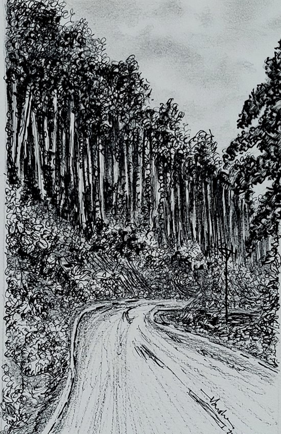 PenSketch, painting by Varsha Shukla