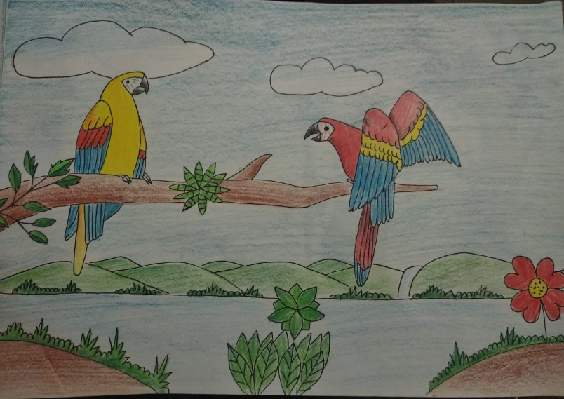Easy two parrot Drawing in oil pastel - YouTube