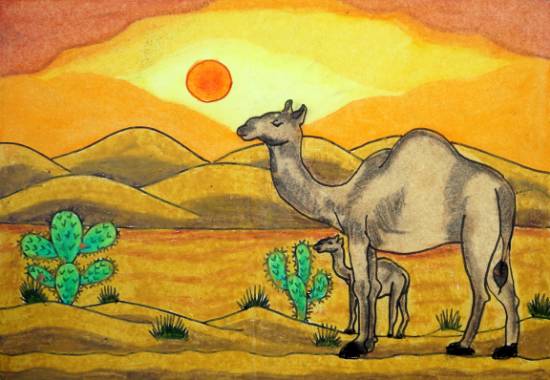 One single line drawing desert arabian camel Vector Image