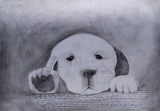 Buy Golden Retriever Puppy Pencil Drawing Digital Download Online in India   Etsy
