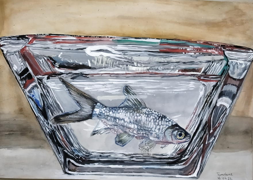 Collection of painting, Limited Edition Prints of fish theme