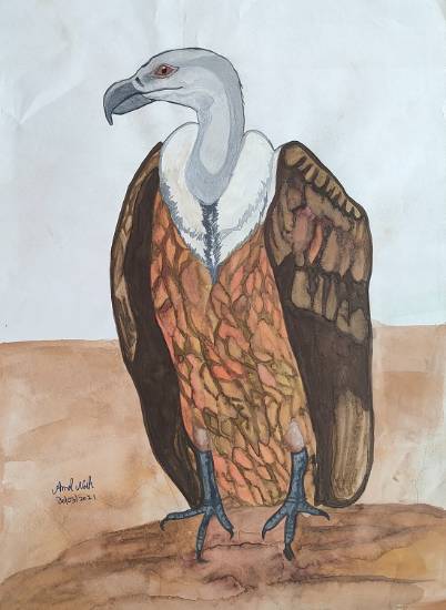 vulture painting