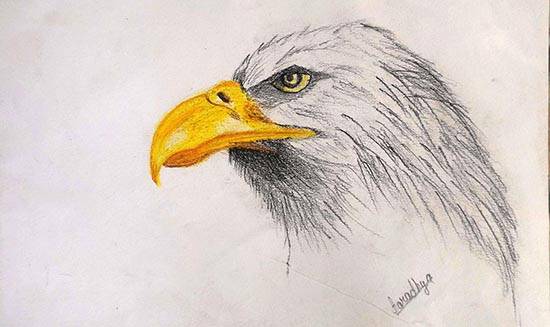 White Eagle Painting by Aaradhya Verma