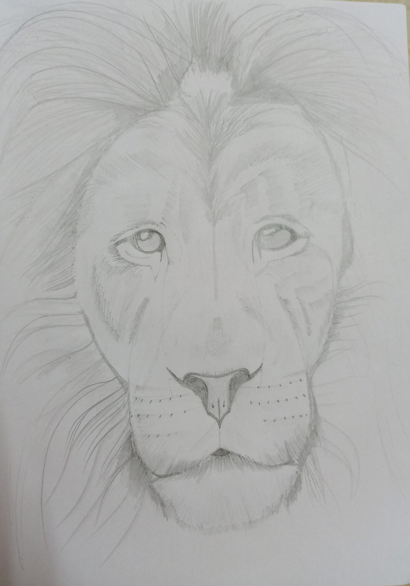 Lion, Painting by Artist Mayank Rathi Lion, Painting by Artist Mayank Rathi