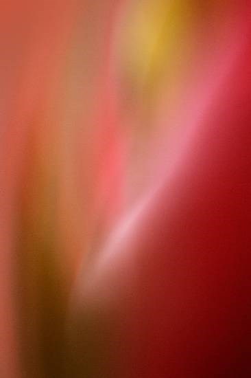 Abstract - 9, photograph by Saify Akolawala