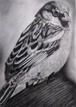 Paintings by Dolly Sunil - Sparrow Paintings by Dolly Sunil - Sparrow