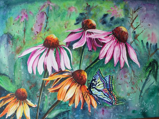 ConeFlower, painting by Prachi Gorwadkar