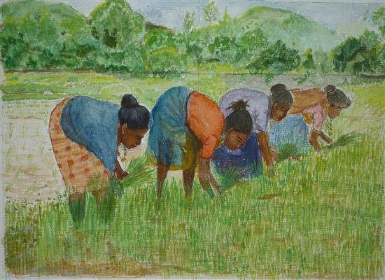 rice field harvest painting