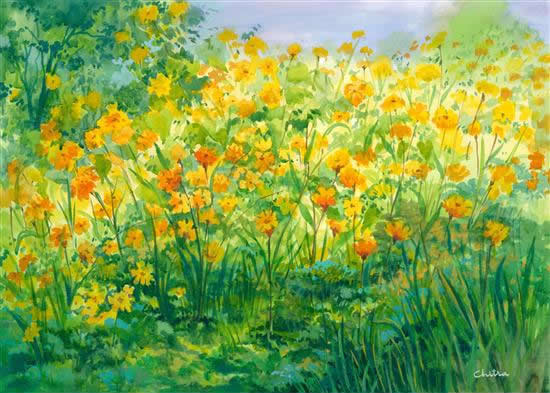 Painting by Chitra Vaidya - Yellow Cosmos