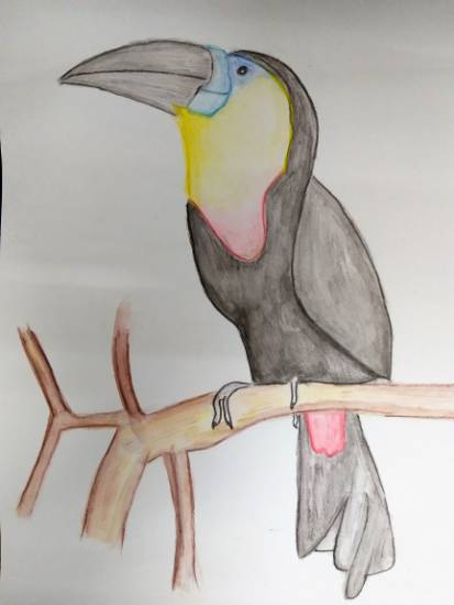 Painting by Parinaz Hoshedar Davar - Woodpecker